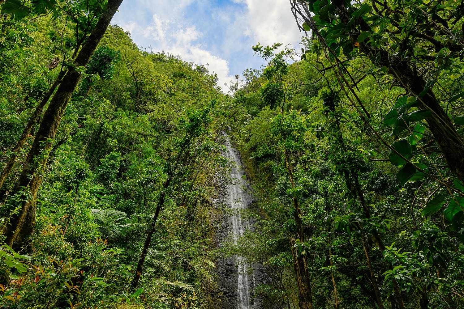ハワイで最も息をのむような滝の8つ 